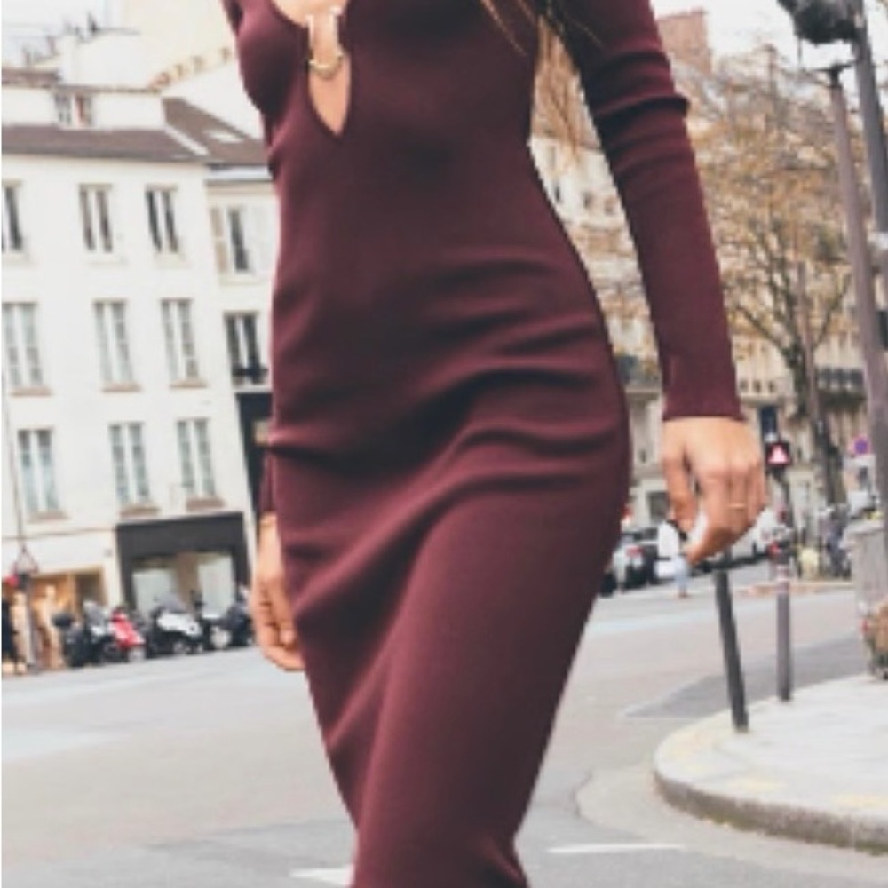 Zara Elegant Burgundy Long Sleeve Dress